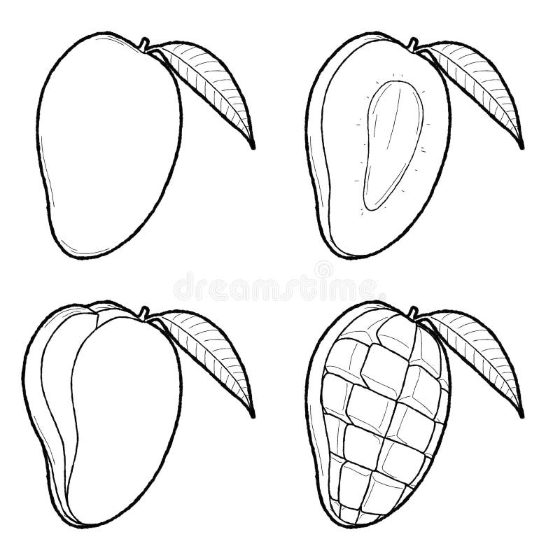 How To Draw A Cartoon Mango - canvas-source