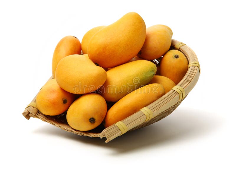 Mango stock photo. Image of natural, mango, healthy 178054338