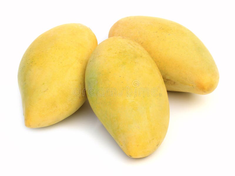 Mangoes stock photo. Image of white, snack, juicy, healthy 25594634