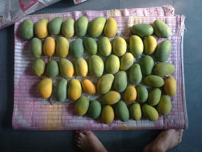 Mangos de Hyderabad foto de archivo. Imagen de hiderabad 123469076