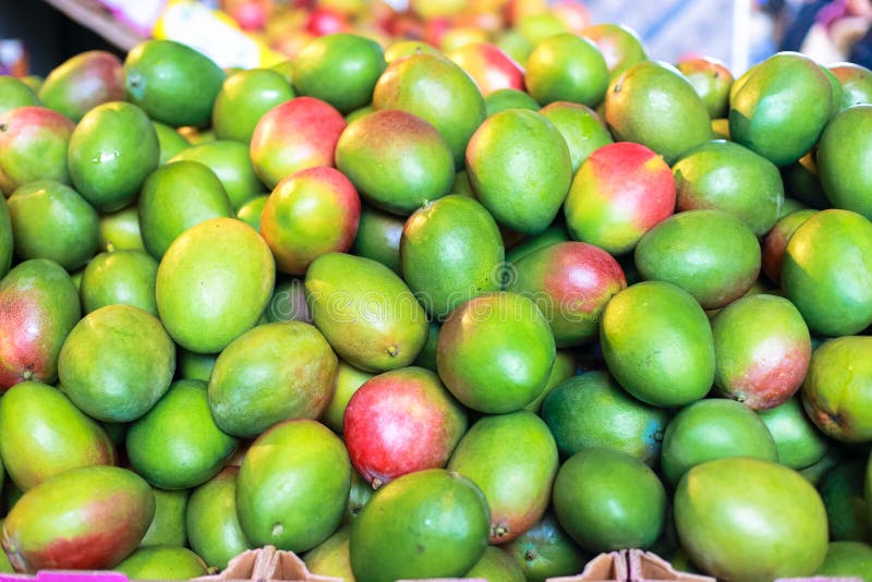 Mangos Verdes Fotos De Stock Descarga 826 Fotos Libres de Derechos