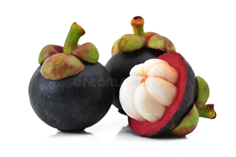 Mangostanfrucht stockbild Mangostanfrucht stockbild