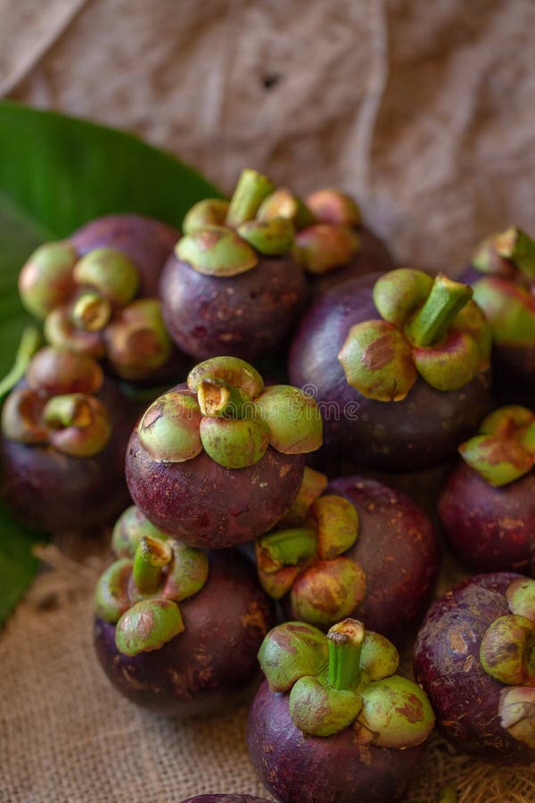 Mangostanfrucht-Königin von Früchten auf Holztisch stockbilder Mangostanfrucht-Königin von Früchten auf Holztisch stockbilder