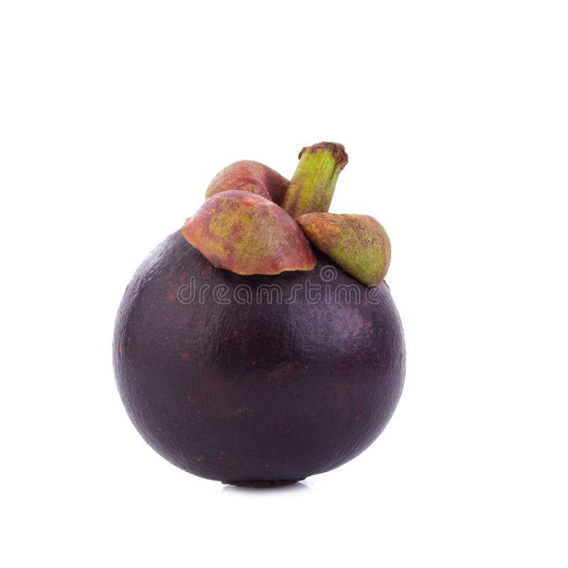 Mangostanfrucht-Königin von Früchten, reife Mangostanfruchtfrucht auf w stockfotografie Mangostanfrucht-Königin von Früchten, reife Mangostanfruchtfrucht auf w stockfotografie