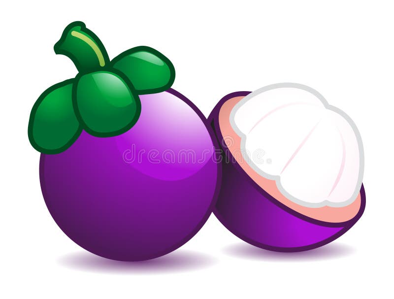 Clip Art Mangosteen