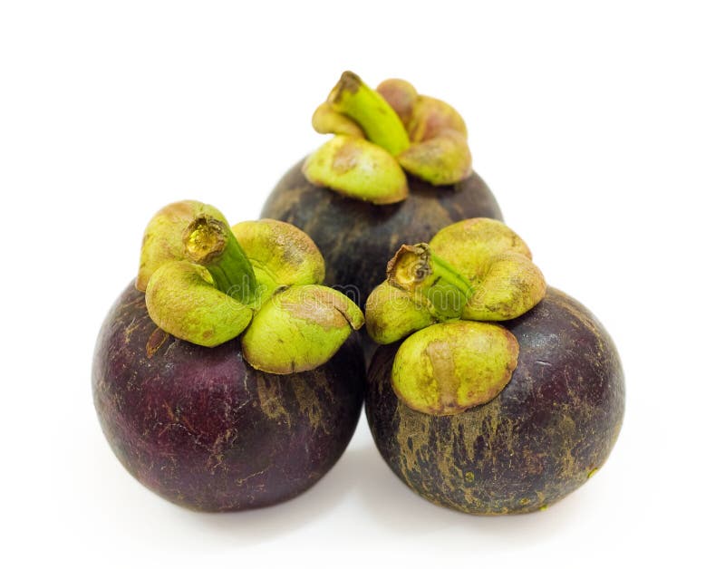 Mangosteen stock image. Image of asia, dietary, juice 15512617