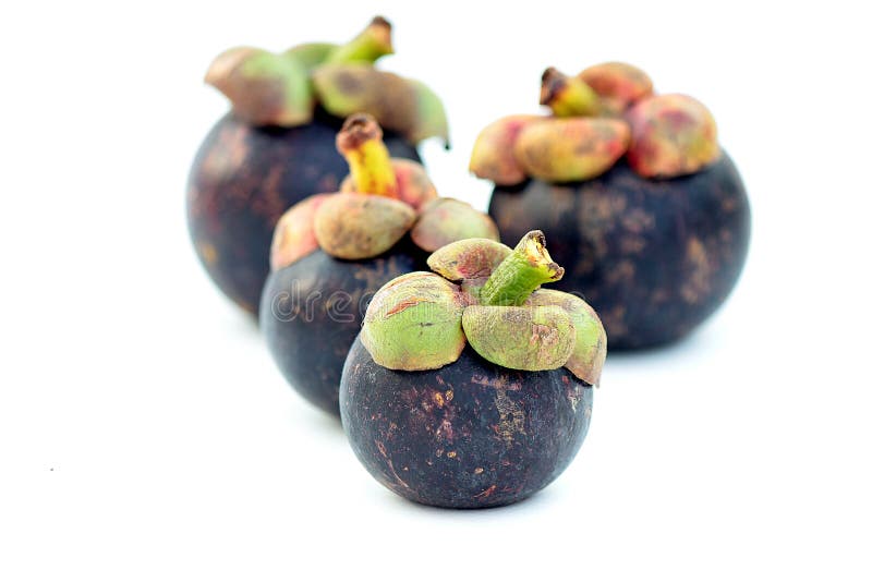 Mangosteen stock photo. Image of orange, thailand, whiteorange 28495032