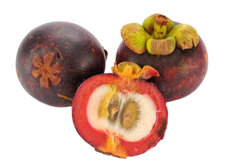 Mangosteen στοκ εικόνες με δικαίωμα ελεύθερης χρήσης Mangosteen στοκ εικόνες με δικαίωμα ελεύθερης χρήσης