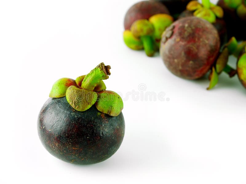 Mangosteen fruit stock photo. Image of fresh, juicy, green 24989858