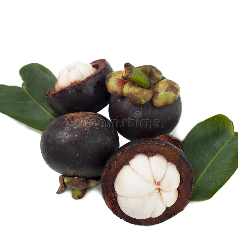 Mangosteen Fruit with Leaves Isolated on White Background Stock Photo
