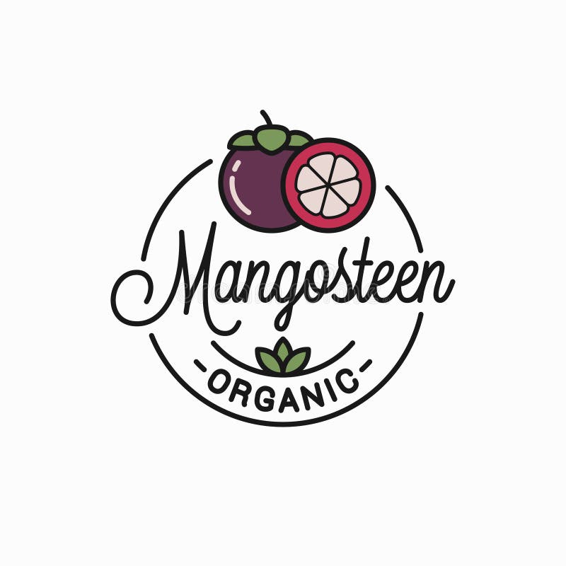 Mangosteen fruit logo. Linear of mangosteen slice