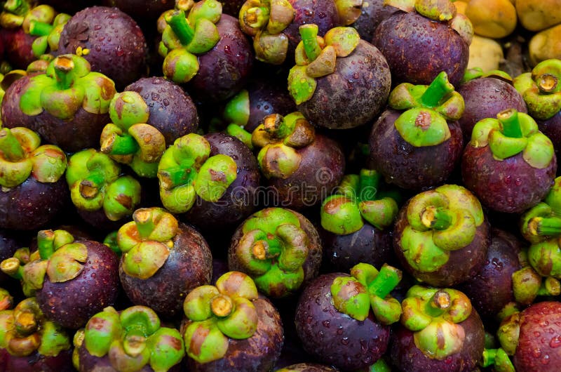 Mangosteen fruit on sales stock photo. Image of market 27056708