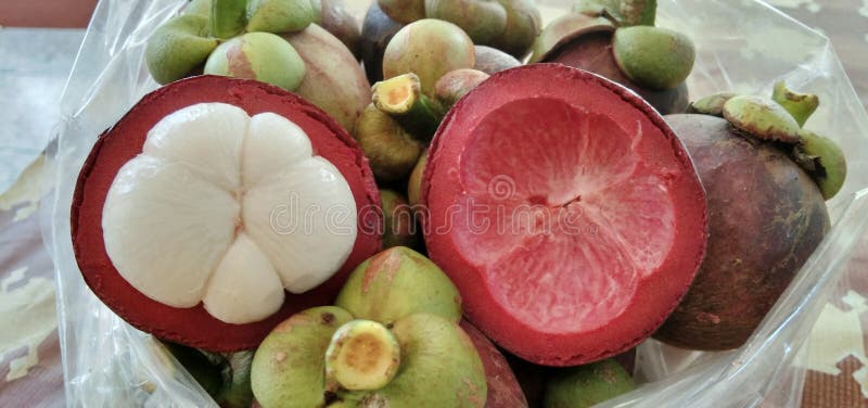 The Fruit Pod of a South American Cherry Broken Stock Image - Image of ...