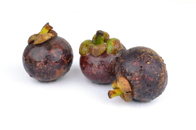 Mangosteen stock photo. Image of food, green, chinese 69721382