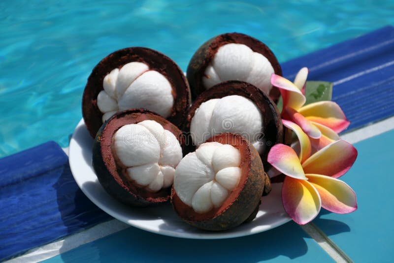 Mangosteen (Garcinia mangostana)