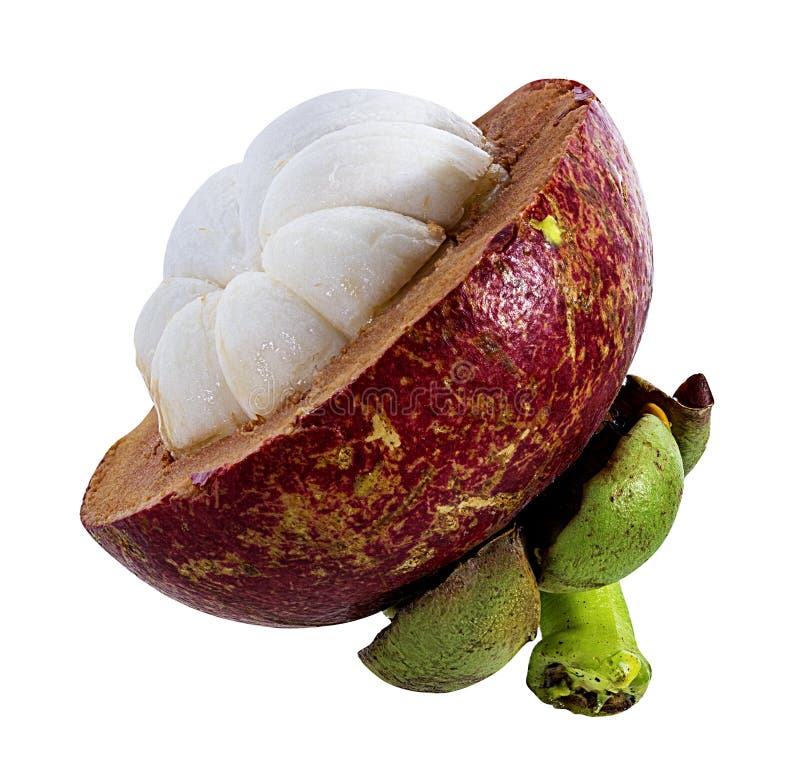 Mangosteen Isolated On White Stock Photo Image of sweet, dessert