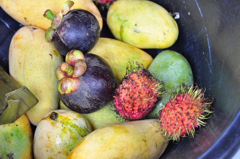 Mangosteen Mango and Rambutan Stock Image Image of tropical