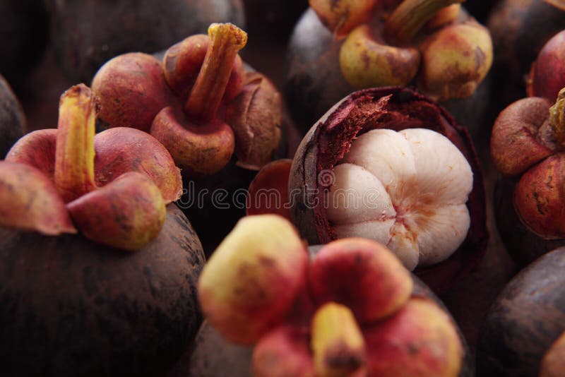 Mangosteen pulp