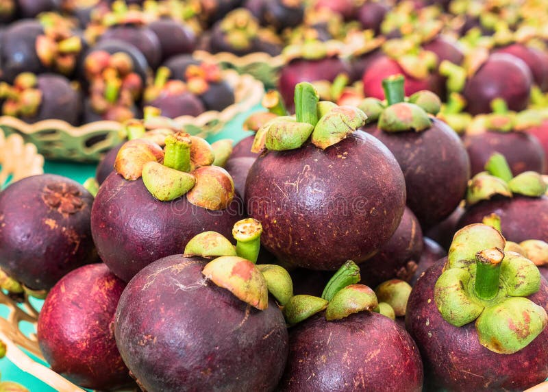 Mangosteen Queen of Fruits Garcinia Mangostana Linn on White B Stock Photo Image of fruit