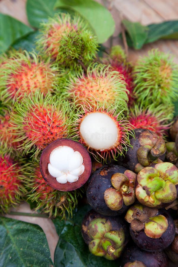 Mangosteen And Rambutan Are One Of Delicious Thai Fruit On White Stock