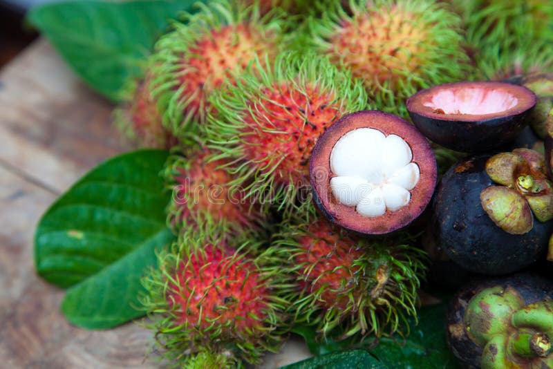 Mangosteen and rambutan stock photo. Image of business 24855698
