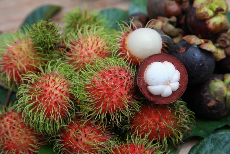 Mangosteen and rambutan