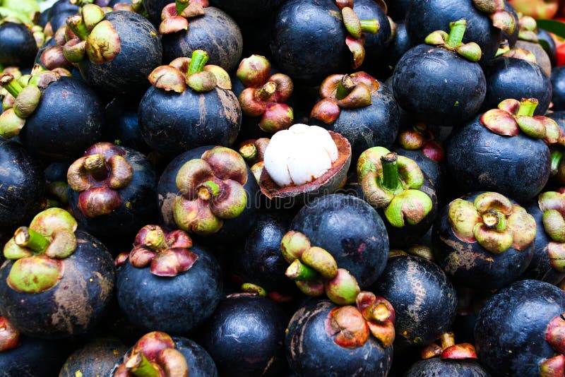 Mangosteen Thai fruit stock image. Image of nutritious 21514789