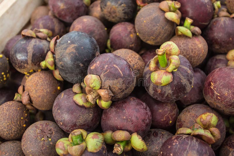 Mangosteen in thailand stock photo. Image of healthy 67617738