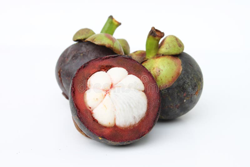 Mangosteen Tropical Fruit In Thailand. Stock Photo Image of tropical