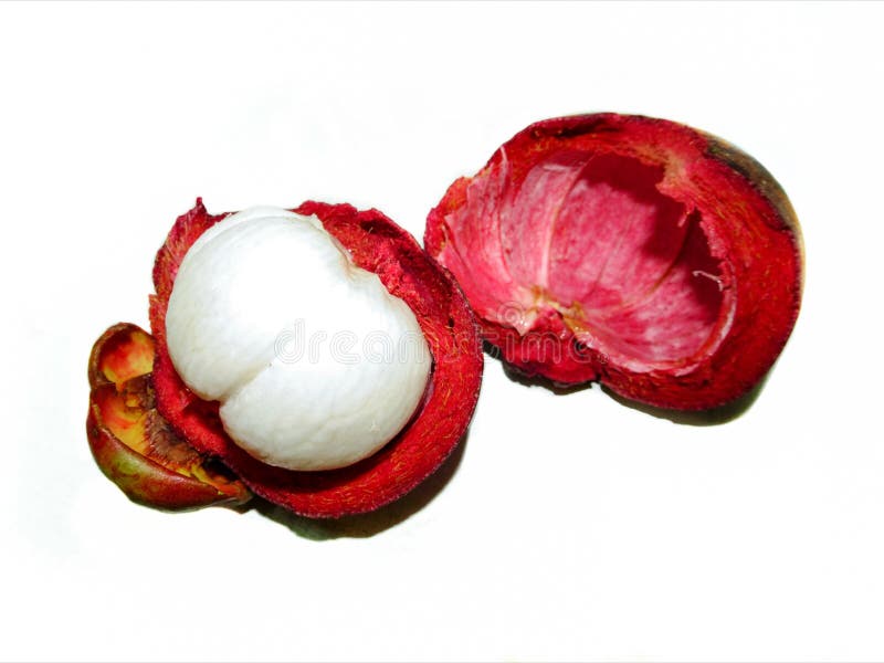 Mangosteen stock photo. Image of nature, white, delicious 120619904