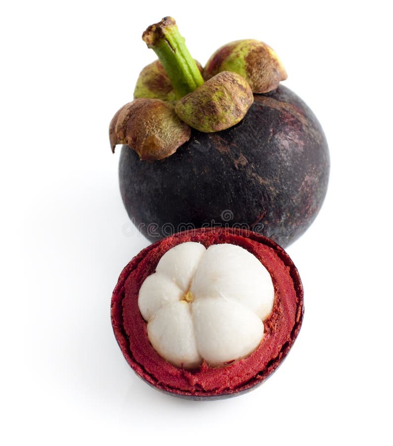 Mangosteen fruit and cross section showing the thick purple skin and white flesh of the queen of fruits. Mangosteen fruit and cross section showing the thick purple skin and white flesh of the queen of fruits.