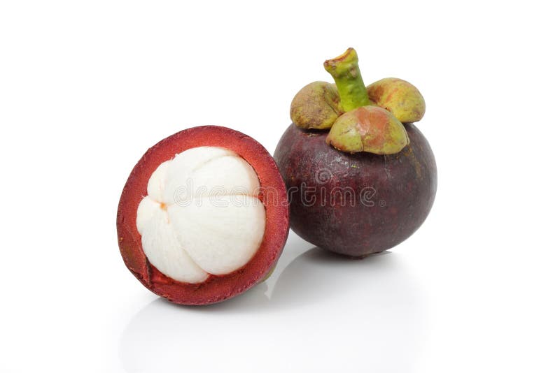 Mangosteen fruit and cross section showing the thick purple skin and white flesh of the queen of fruits. Mangosteen fruit and cross section showing the thick purple skin and white flesh of the queen of fruits.