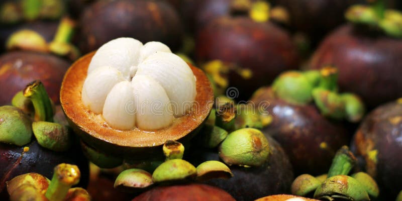 Mangoustan image stock Mangoustan image stock