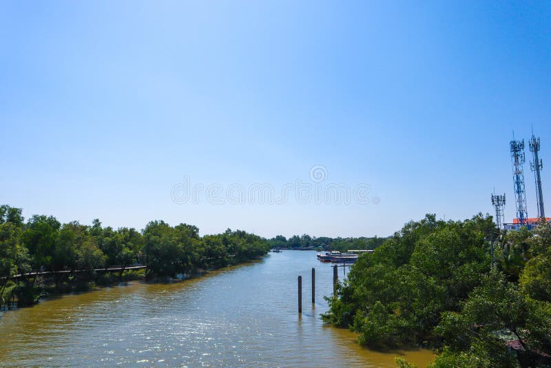 Mangrovenwald und Fluss lizenzfreie stockfotografie Mangrovenwald und Fluss lizenzfreie stockfotografie