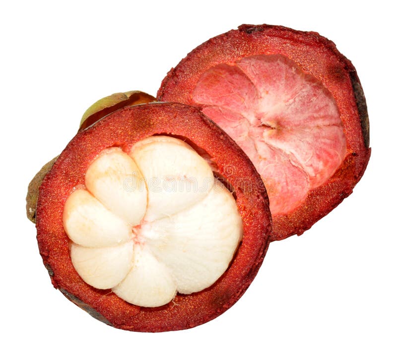 Mangustão roxo fresco fotografia de stock