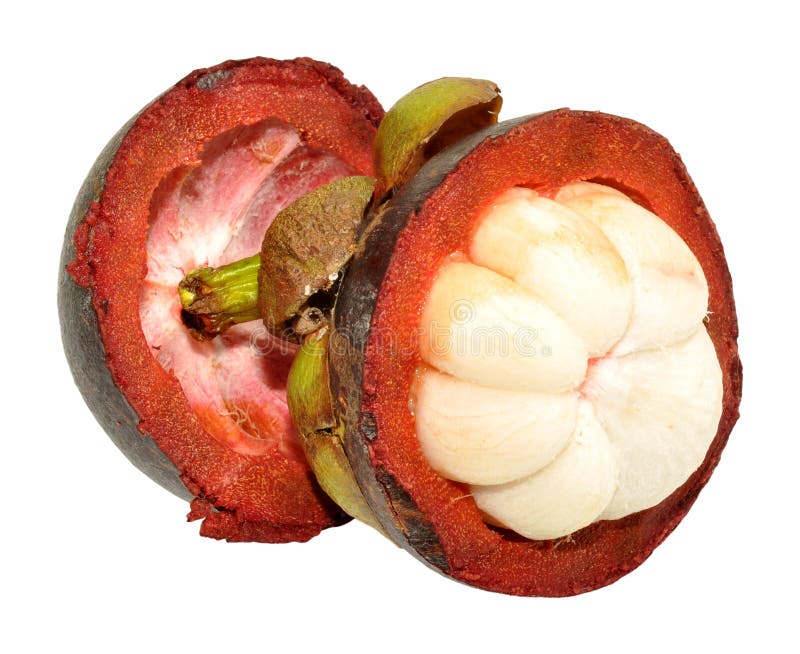 Mangustão roxo fresco imagens de stock royalty free