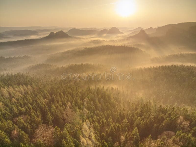 Cabana de fantasia em uma floresta à noite 4K, Banco de Video