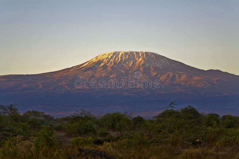 Manhã de Kilimanjaro imagens de stock royalty free Manhã de Kilimanjaro imagens de stock royalty free