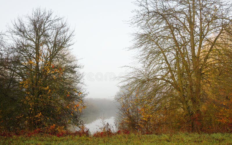 Manhã nevoenta na lagoa fotografia de stock Manhã nevoenta na lagoa fotografia de stock