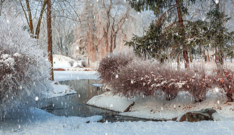 Foggy morning in city park. Dramatic wintry scene. Foggy morning in city park. Dramatic wintry scene.