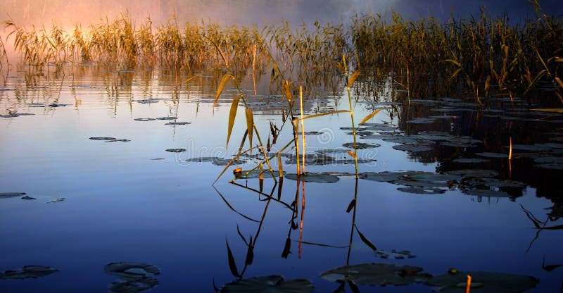 Manhã nevoenta pelo lago imagens de stock Manhã nevoenta pelo lago imagens de stock
