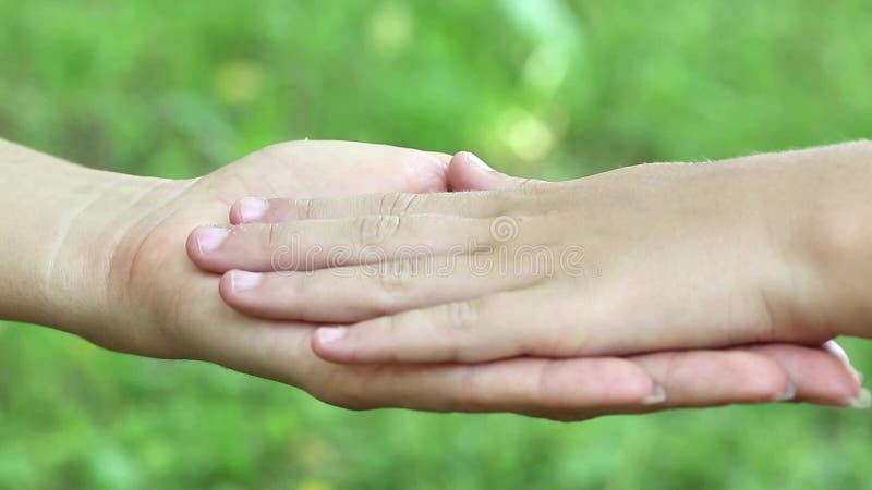 Mani dei bambini e della femmina sul fondo dell'erba Tre mani insieme stock footage