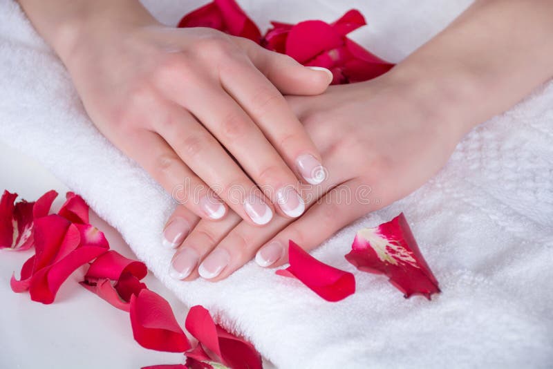 Girl hands with french manicure on white towel and red rose petals in salon. Manicure and nails polish concept. Close up, selective focus. Girl hands with french manicure on white towel and red rose petals in salon. Manicure and nails polish concept. Close up, selective focus