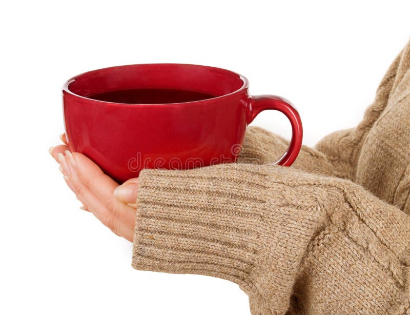 Mani femminili immagini stock libere da diritti Mani femminili immagini stock libere da diritti