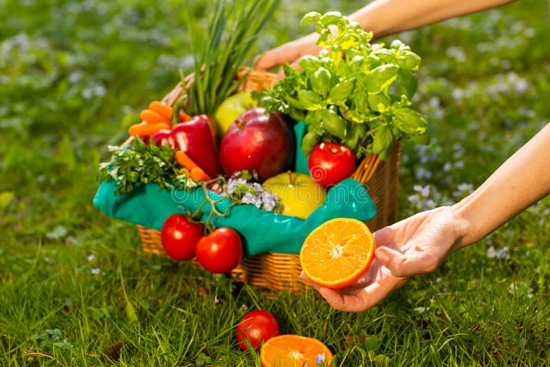 Mani femminili che tengono canestro di vimini con le verdure e la frutta, fine su fotografia stock Mani femminili che tengono canestro di vimini con le verdure e la frutta, fine su fotografia stock