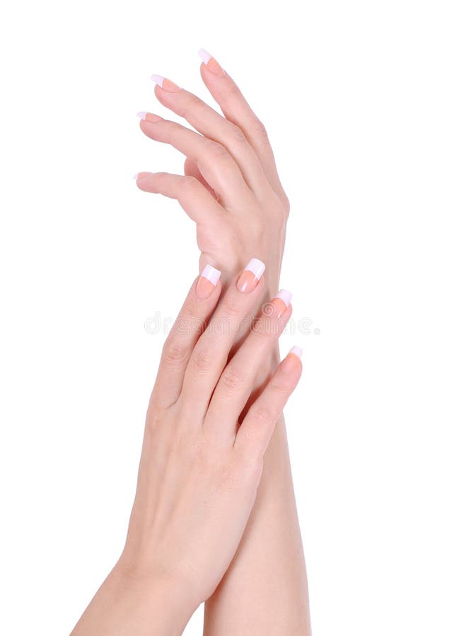 mani femminili con il manicure francese isolato immagini stock libere da diritti mani femminili con il manicure francese isolato immagini stock libere da diritti