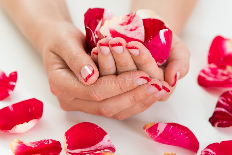 Close-up Of Female Hands With Manicure Nail Varnish Holding Rose Petals. Close-up Of Female Hands With Manicure Nail Varnish Holding Rose Petals