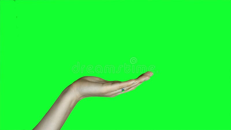Mani femminili sullo schermo verde
