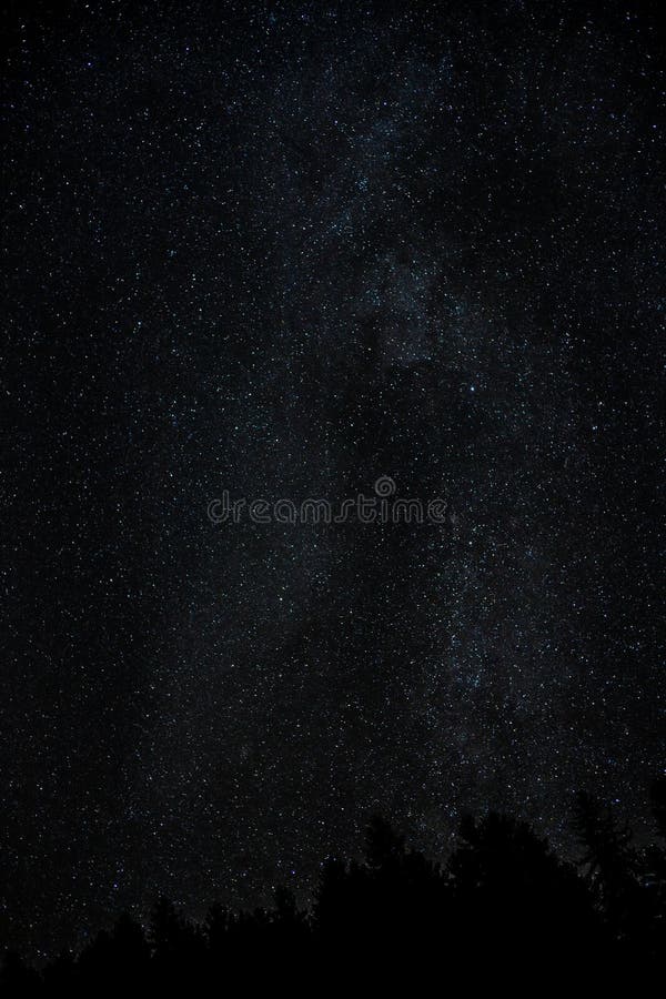 Mani?re laiteuse de ciel nocturne avec milliard d'?toiles et de silhouette d'arbre photos stock Mani?re laiteuse de ciel nocturne avec milliard d'?toiles et de silhouette d'arbre photos stock