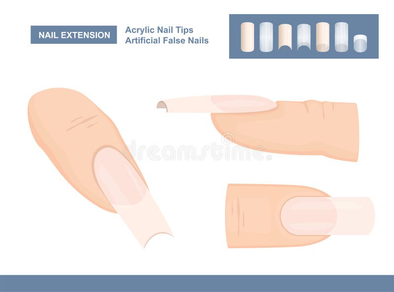 Manicure Accessories for Nail Extension. Acrylic Fingernail Tips. Artificial False Nails for Painting. Vector